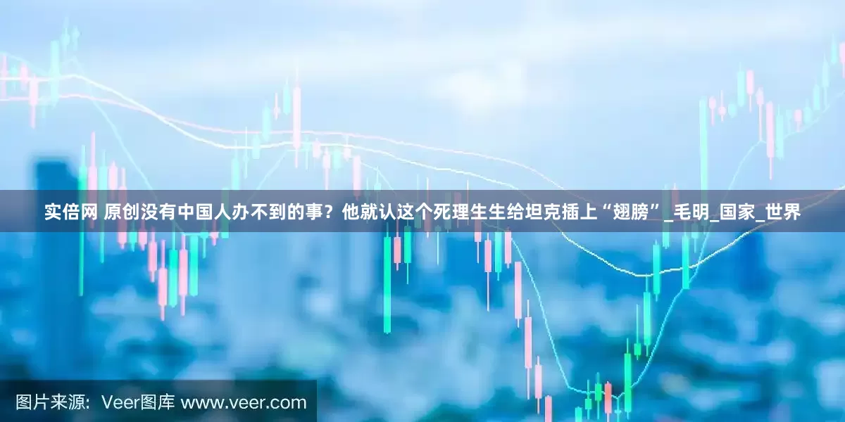 实倍网 原创没有中国人办不到的事？他就认这个死理生生给坦克插上“翅膀”_毛明_国家_世界