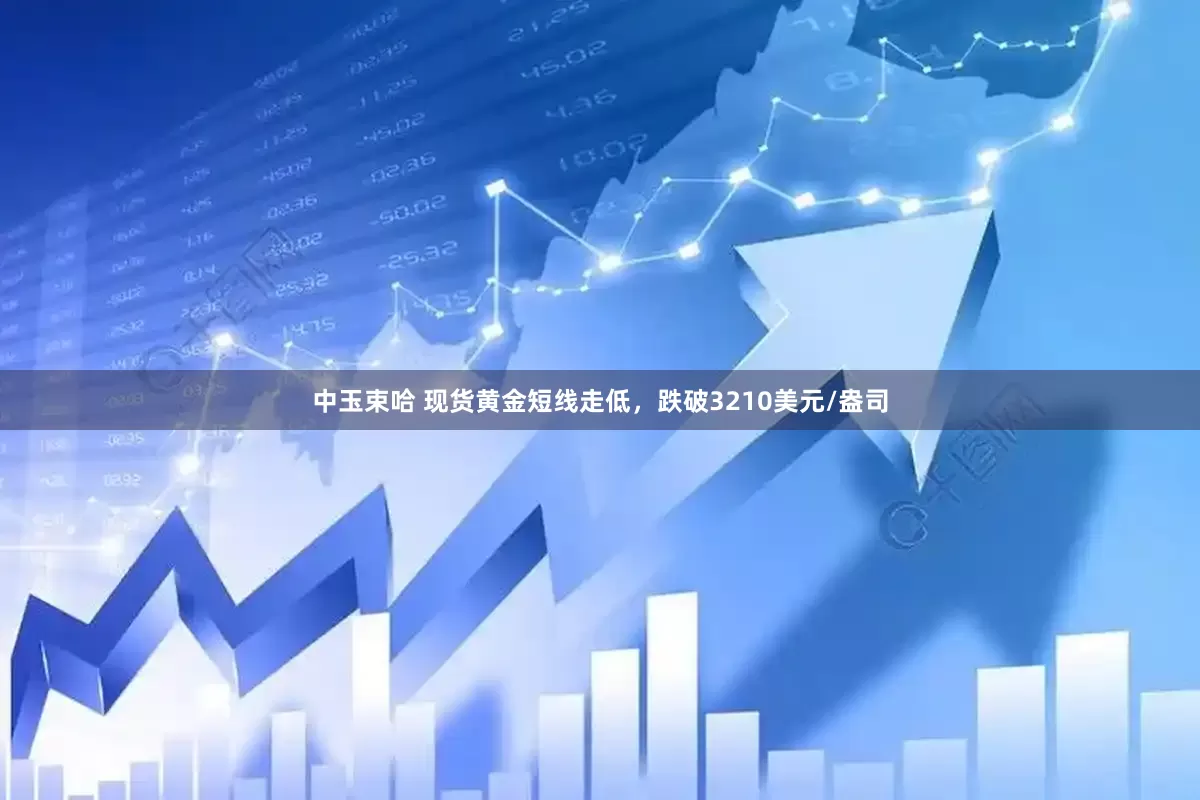 中玉束哈 现货黄金短线走低，跌破3210美元/盎司